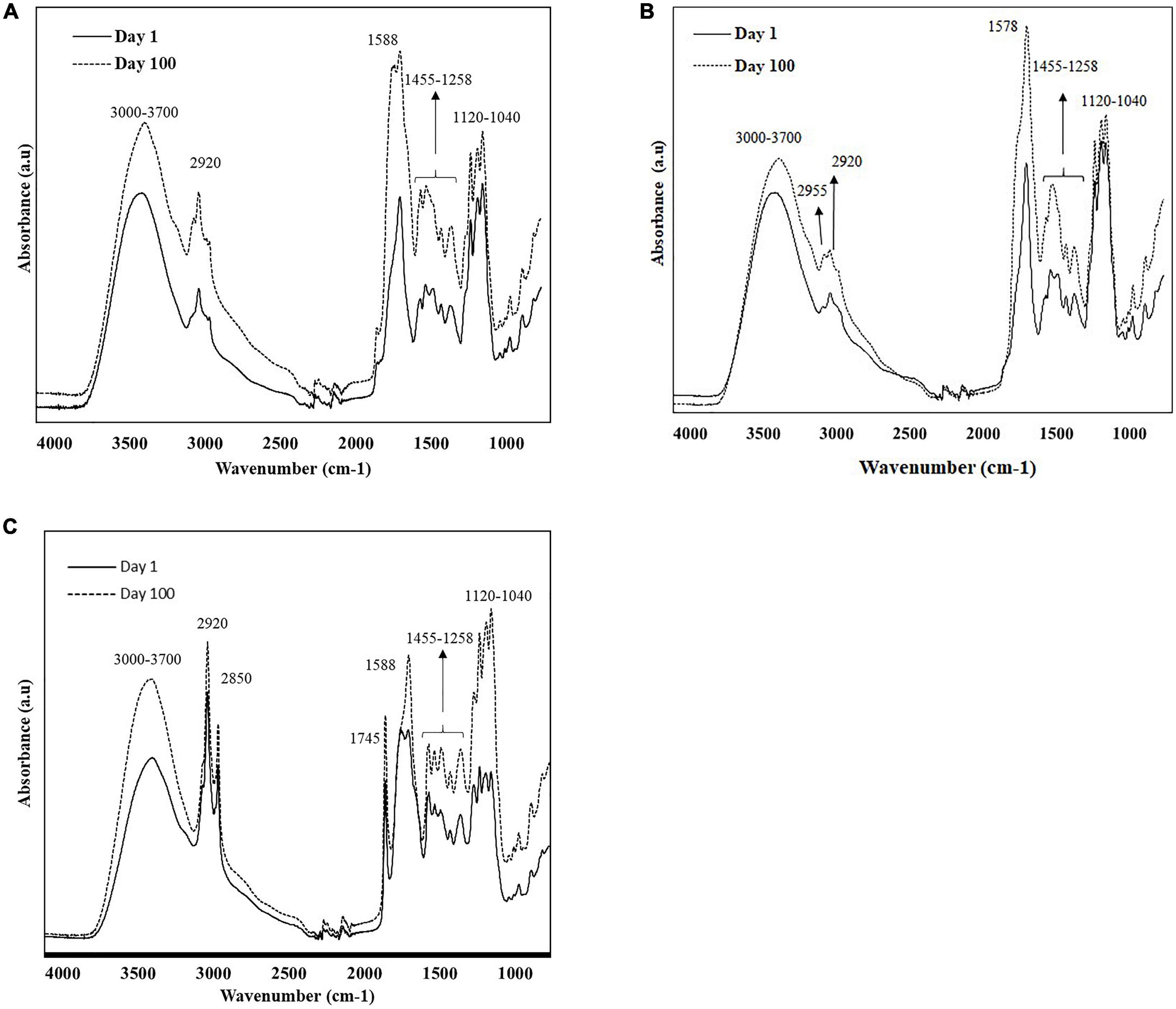 Monitoring Turkish white cheese ripening by portable FT-IR spectroscopy